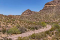 2022-04-Organ-Pipe-NM-193