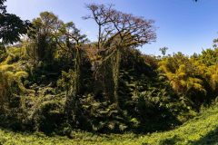 2022-03-Big-Island-Akaka-falls-02