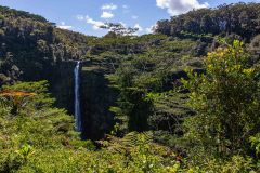 2022-03-Big-Island-Akaka-falls-06