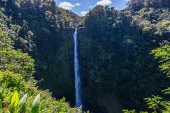 2022-03-Big-Island-Akaka-falls-09