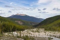 2022-07-Alaska-Highway-397