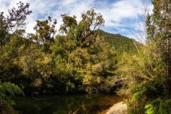 2023-04-Alerce-Andino-Nationalpark-082-Pano