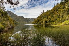 2023-04-Alerce-Andino-Nationalpark-166-Pano