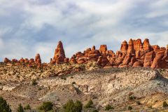 2022-05-Arches-NP-053