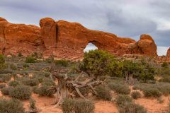 2022-05-Arches-NP-155