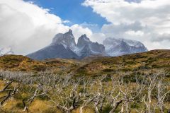 2023-02-Torres-del-Paine-0410