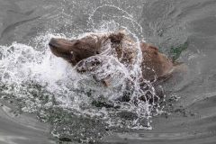 2022-08-Katmai-060