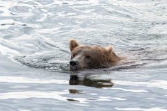 2022-08-Katmai-072