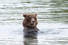 2022-08-Katmai-090