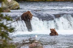 2022-08-Katmai-095