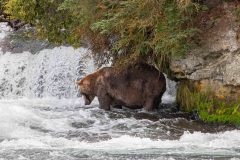 2022-08-Katmai-098