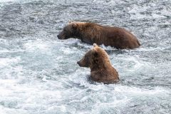 2022-08-Katmai-122