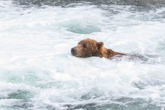 2022-08-Katmai-174