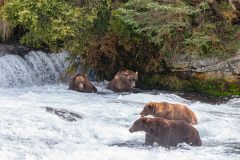 2022-08-Katmai-180