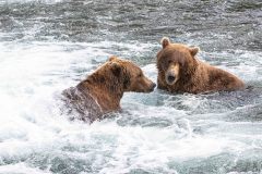 2022-08-Katmai-209