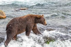 2022-08-Katmai-220