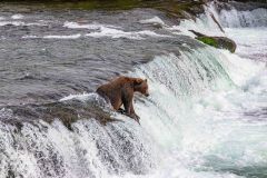 2022-08-Katmai-231