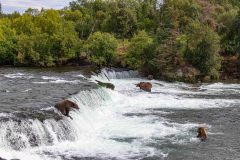 2022-08-Katmai-233