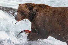 2022-08-Katmai-285