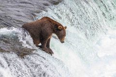 2022-08-Katmai-296