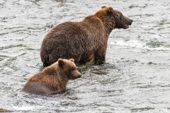 2022-08-Katmai-345