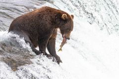 2022-08-Katmai-366