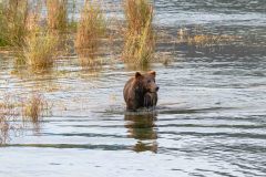 2022-08-Katmai-386