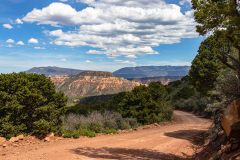 2022-05-Bears-Ears-153