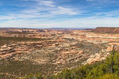 2022-05-Bears-Ears-155-Pano