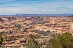 2022-05-Bears-Ears-165