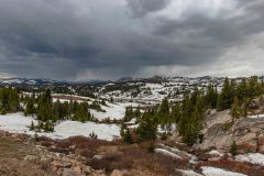 2022-06-Yellowstone-438