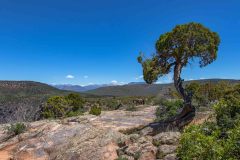 2022-06-Black-Canyon-of-the-Gunnison-NP-039