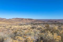 2022-10-Black-Rock-Desert-018