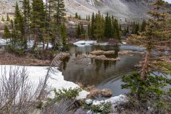 2022-06-White-River-NF-231