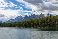 2022-07-Icefield-Parkway-002