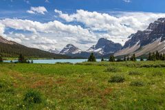 2022-07-Icefield-Parkway-046