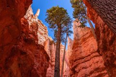 2022-05-Bryce-Canyon-NP-096-HDR