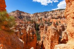 2022-05-Bryce-Canyon-NP-104