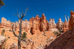 2022-05-Bryce-Canyon-NP-105