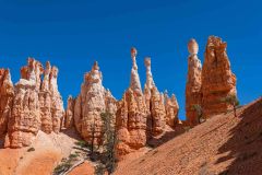 2022-05-Bryce-Canyon-NP-108