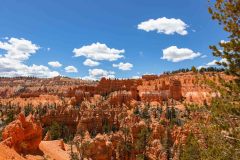 2022-05-Bryce-Canyon-NP-153