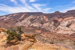 2022-05-Capitol-Reef-085