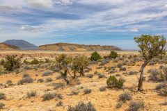 2022-05-Capitol-Reef-099