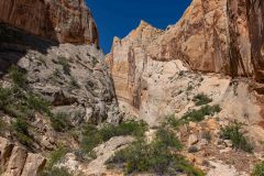 2022-05-Capitol-Reef-140