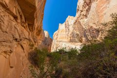 2022-05-Capitol-Reef-162-HDR