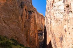 2022-05-Capitol-Reef-170