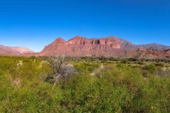 2023-06-Quebrada-de-Cafayate-115-Pano