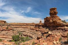 2022-05-Canyonlands-NP-The-Needles-18-Pano