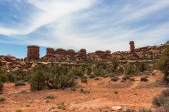 2022-05-Canyonlands-NP-The-Needles-38