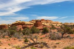 2022-05-Canyonlands-NP-The-Needles-53